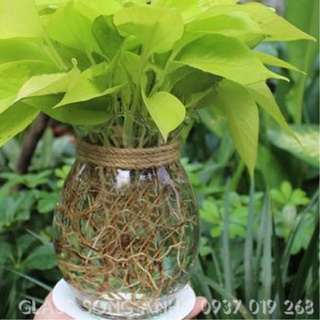 BỘ 4 bình thủy tinh, ly trà sữa khủng 1000ml