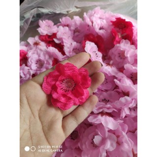 hoa anh đào bông rời.đóng gói 50 bông