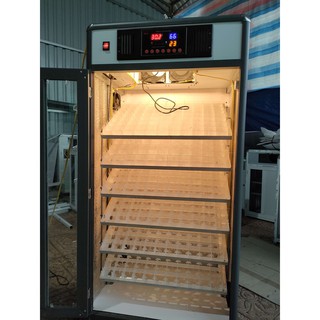 máy ấp 600 trứng full tự động hóa