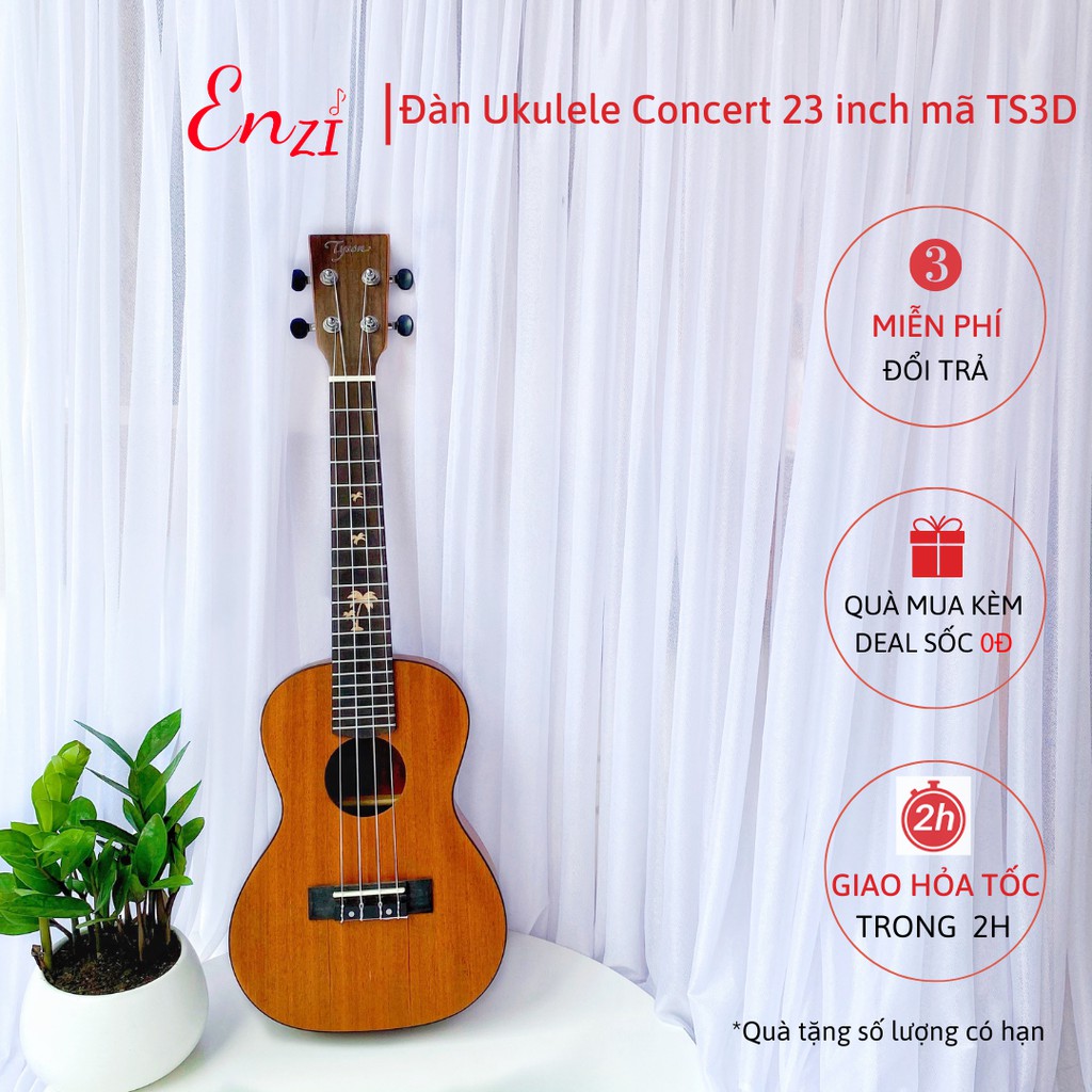 Đàn ukulele concert TS3D Enzi 23 inch gỗ mộc họa tiết cây dừa khóa đúc giá rẻ cho bạn mới bắt đầu tập chơi