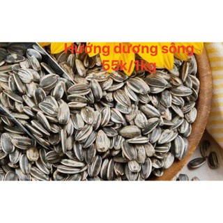  Hạt hướng dương sống- thức ăn cho vẹt 