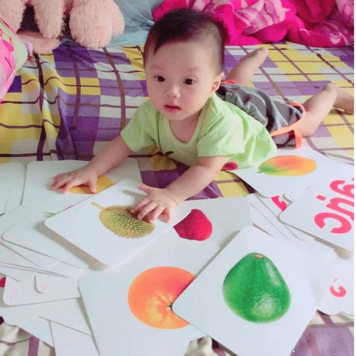 Flashcard Dạy trẻ thế giới xung quanh Glenn Doman - Bộ 300 Thẻ Học Thông Minh Cho Bé- Tặng app song ngữ