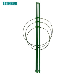 Dụng Cụ Hỗ Trợ Trồng Cây Dây Leo Bền Bỉ Tiện Dụng Cho Sân Vườn