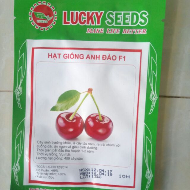 Hạt giống cherry F1
