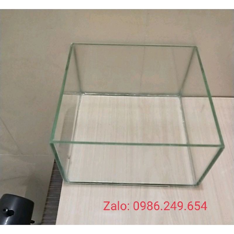 Bể cá mini