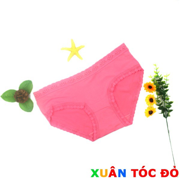 SỈ ZALO RẺ HƠN NHIỀU_ Quần Lót Cotton Rẻ Đẹp X01 | WebRaoVat - webraovat.net.vn