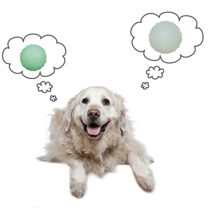 Đồ Chơi Bằng Cao Su TPR Phát Sáng Trong Đêm Huấn Luyện Thú Cưng