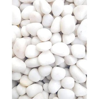 Đá sỏi to màu trắng bịch 500gr