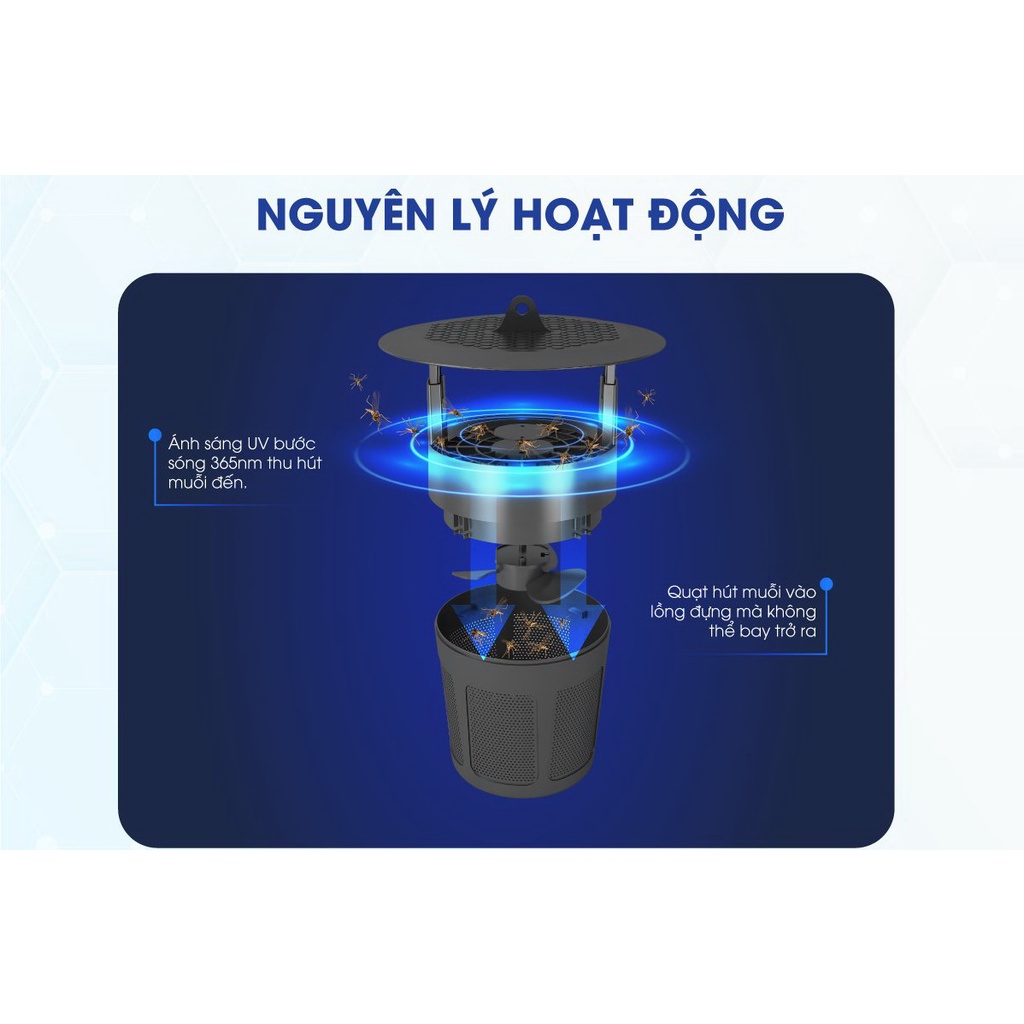 Đèn bắt muỗi Rạng Đông DBM01 5W