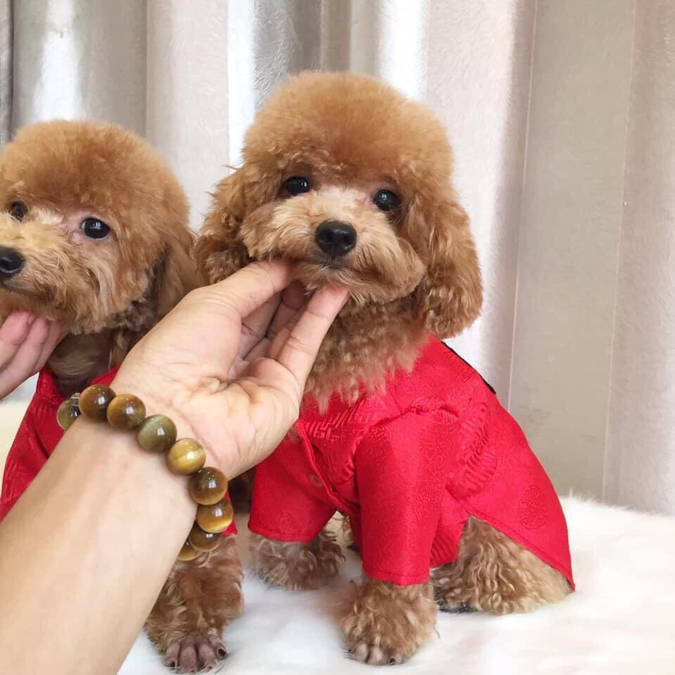 Áo dài tết chó mèo vải gấm họa tiết thêu siêu dễ thươngo