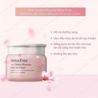 Set Dưỡng Innisfree Hoa Anh Đào