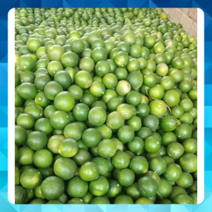 Trái Chanh tươi vườn Vĩnh Long trồng từ quê gửi lên. có sẵn tp hcm. 1ky 25k