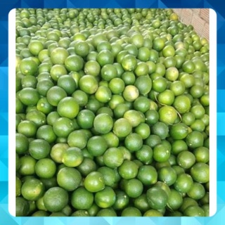 Trái Chanh tươi vườn Vĩnh Long trồng từ quê gửi lên. có sẵn tp hcm. 1ky 25k