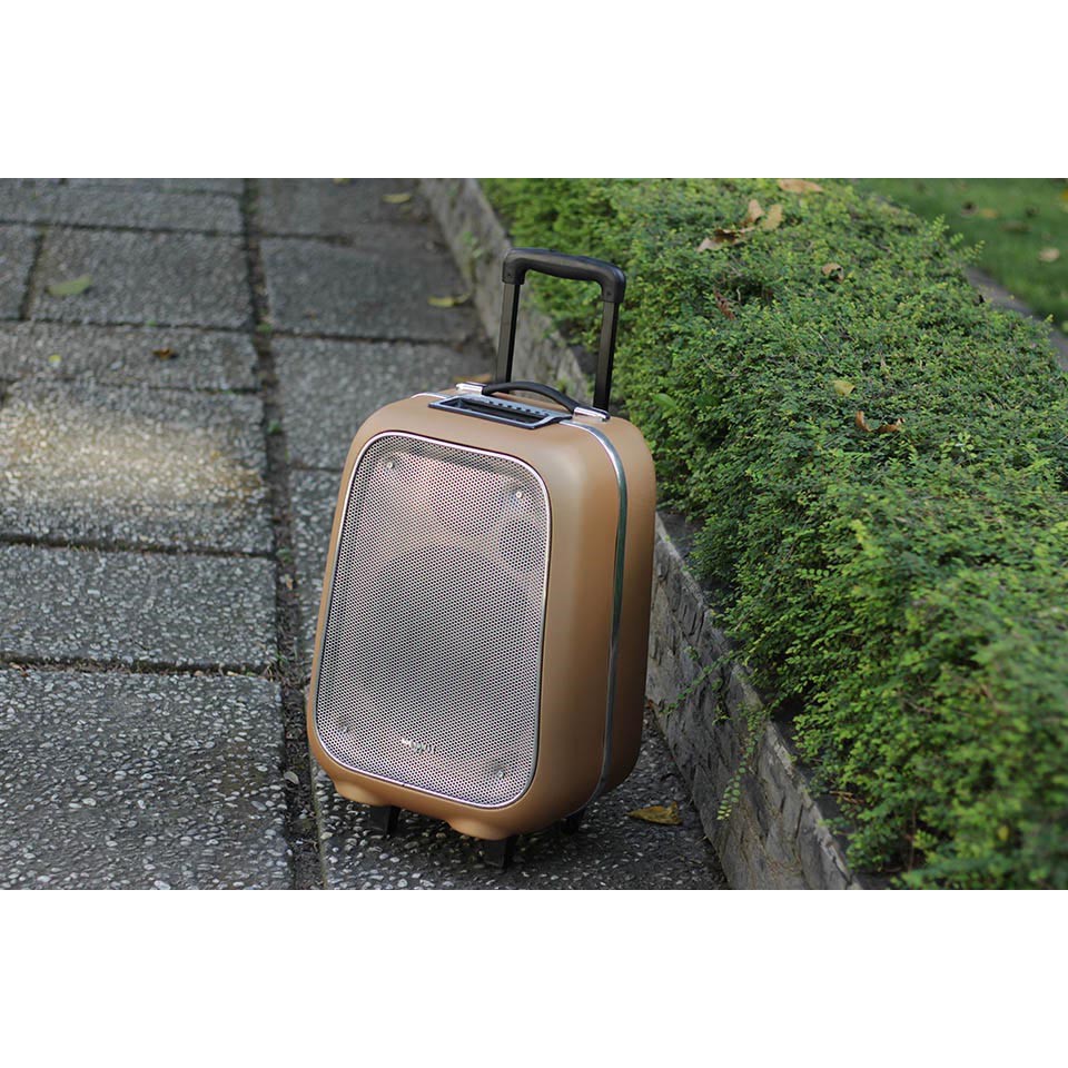 Loa Kéo SoundMax M6