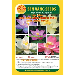5H Hạt giống Hoa Sen Mini Mix nhiều màu
