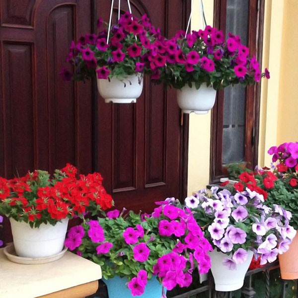 Chậu trồng cây có hoa văn trang trí (màu trắng) 15cm, 20cm, 24cm nội địa Nhật Bản