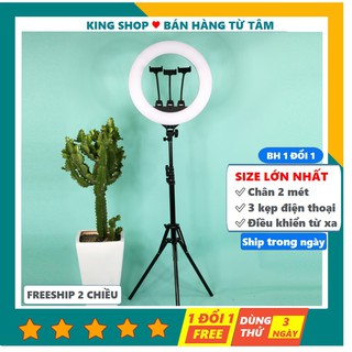 Đèn livestream 45cm .hỗ trợ ánh sáng chụp ảnh, đèn phun xăm , selfie, quay tiktok