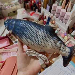 CÁ NHẢY GIÃY ĐÀNH ĐẠCH NHƯ CÁ THẬT (GIAO MÀU NGẪU NHIÊN)