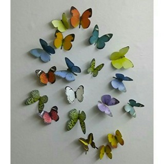 decal dán tường bướm decal 3d