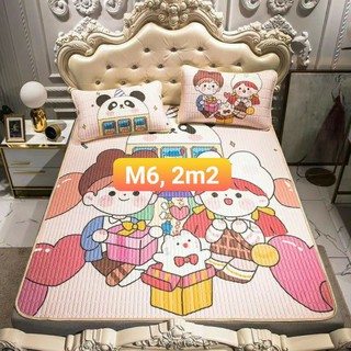 Chiếu Điều Hòa 4 mùa