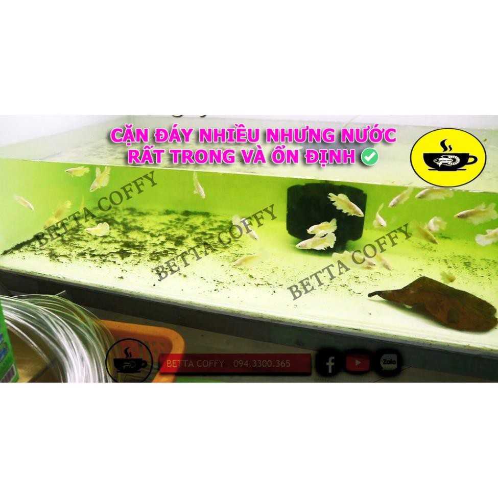 Lọc Vi Sinh BIO mini - ĐẾ SỎI - Không cần thay nước