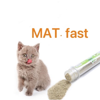Cỏ mèo! catnip cho mèo ống 40g