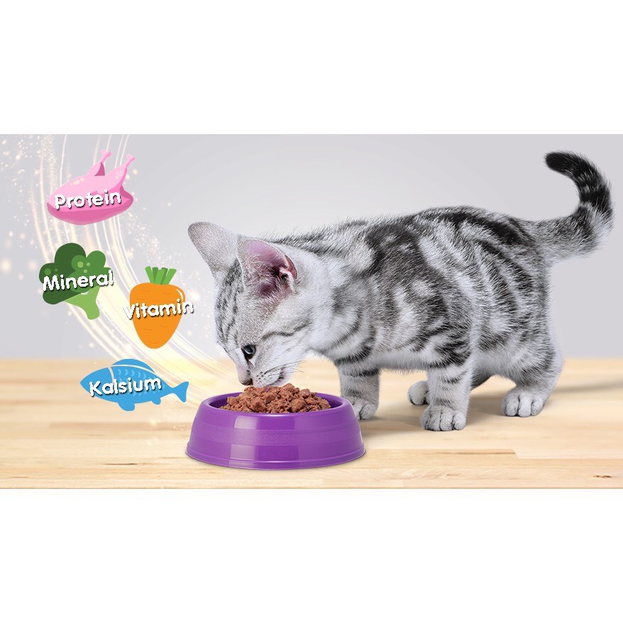 Thức ăn dạng hạt dành cho mèo lớn Whiskas vị cá biển 1.2kg