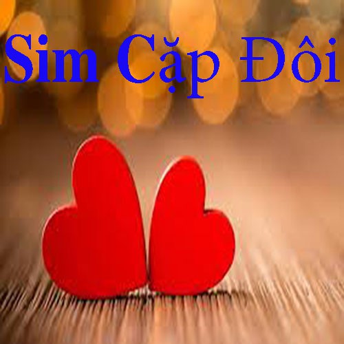 Sim vina  cặp đôi số đẹp, dễ nhớ phong thủy giá rẻ gồm hai số sim giống nhau dùng nghe gọi và truy cặp 4G