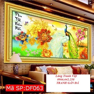 Tranh gắn đá đồng hồ đôi công df063