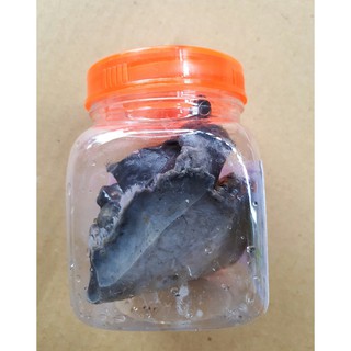 Keo bẫy chim