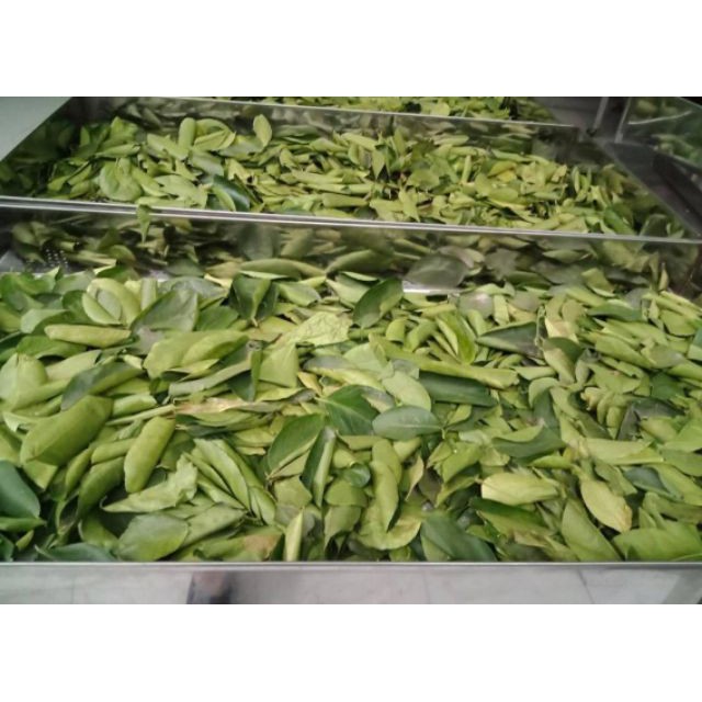 Lá Chanh Sấy Khô dùng làm khô gà-Lime leaves