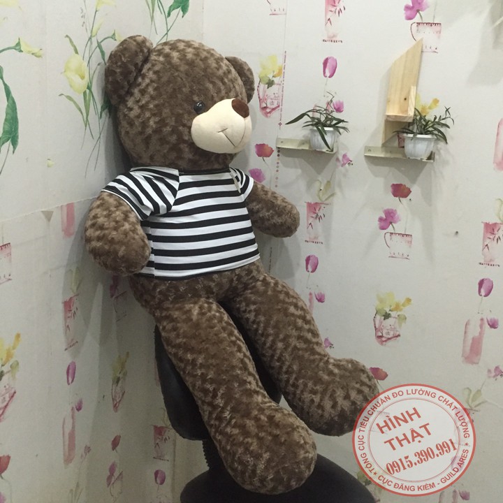 Gấu teddy khổ 1m4 màu xám khói siêu đẹp