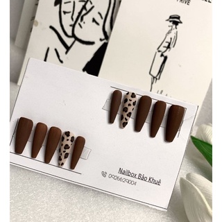 nail box- mẫu beo nâu tây
