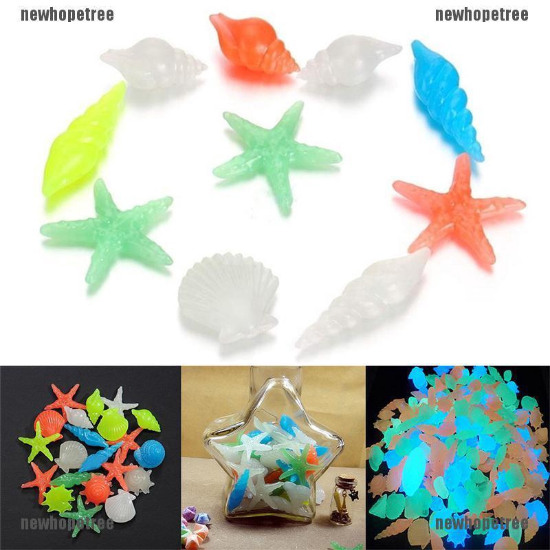 Bộ 10 Vỏ ốc trang trí phát sáng trong đêm cho bể cá