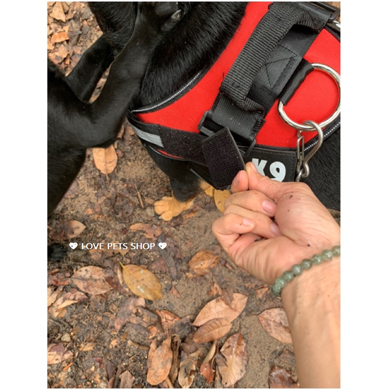 ĐAI YẾM NGỰC CHO CHÓ LỚN K9, YẾM CHO CHÓ (KHÔNG BAO GỒM DÂY DẮT) -  LOVE PETS SHOP
