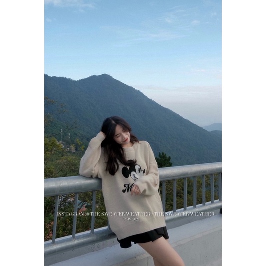 (Ảnh thật) Áo len hình thú chất đanh mịn oversize form giấu quần the.sweaterweather TSW | BigBuy360 - bigbuy360.vn