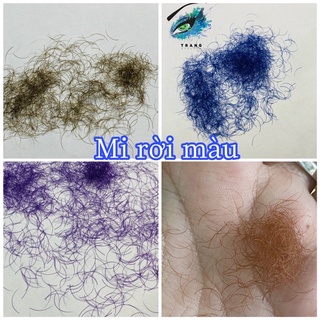 Lông Mi Màu dạng Rời ( mi nối ) đẹp, mềm, bắt keo dạng túi hoặc hủ