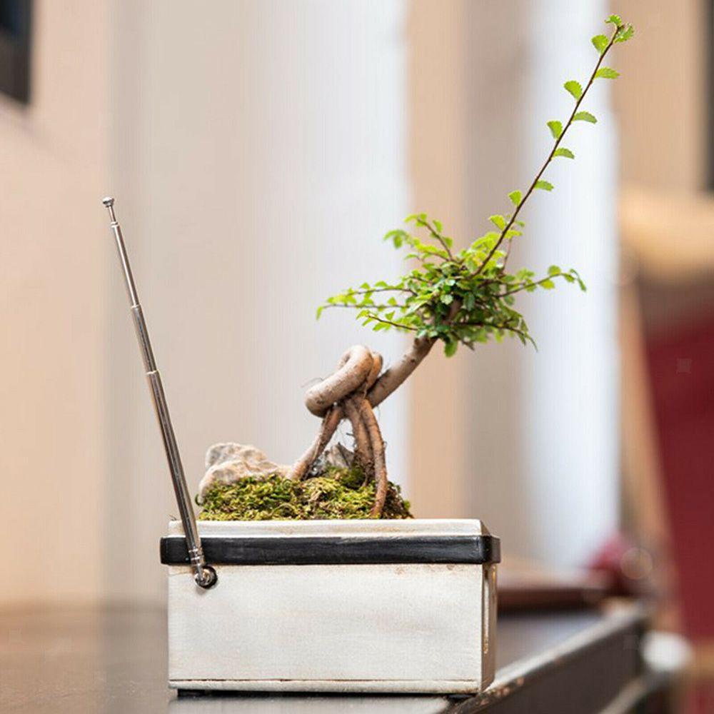 Chậu Trồng Cây Bằng Nhựa Resin Sáng Tạo