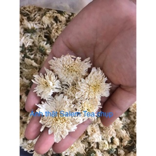 Trà hoa cúc trắng Hoàng Sơn 100g