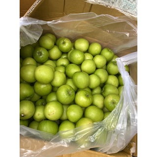1Kg Táo Phan Rang Trái vừa (25-30 quả)