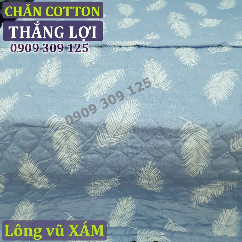 (RẺ VÔ ĐỊCH) bộ drap cotton Thắng lợi (ảnh thật) LÔNG VŨ XÁM | BigBuy360 - bigbuy360.vn