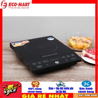 Bếp từ bluestone icb-6609
