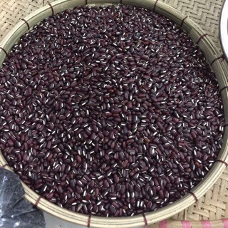Đậu đỏ thuần chủng - Đậu đỏ Non GMO