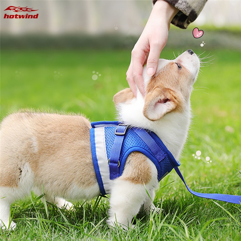 Áo yếm dắt thú cưng kèm dây dắt