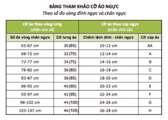 [Size 32/70] Áo Ngực Ren Cotton Loại Đẹp - Hàng TQXK
