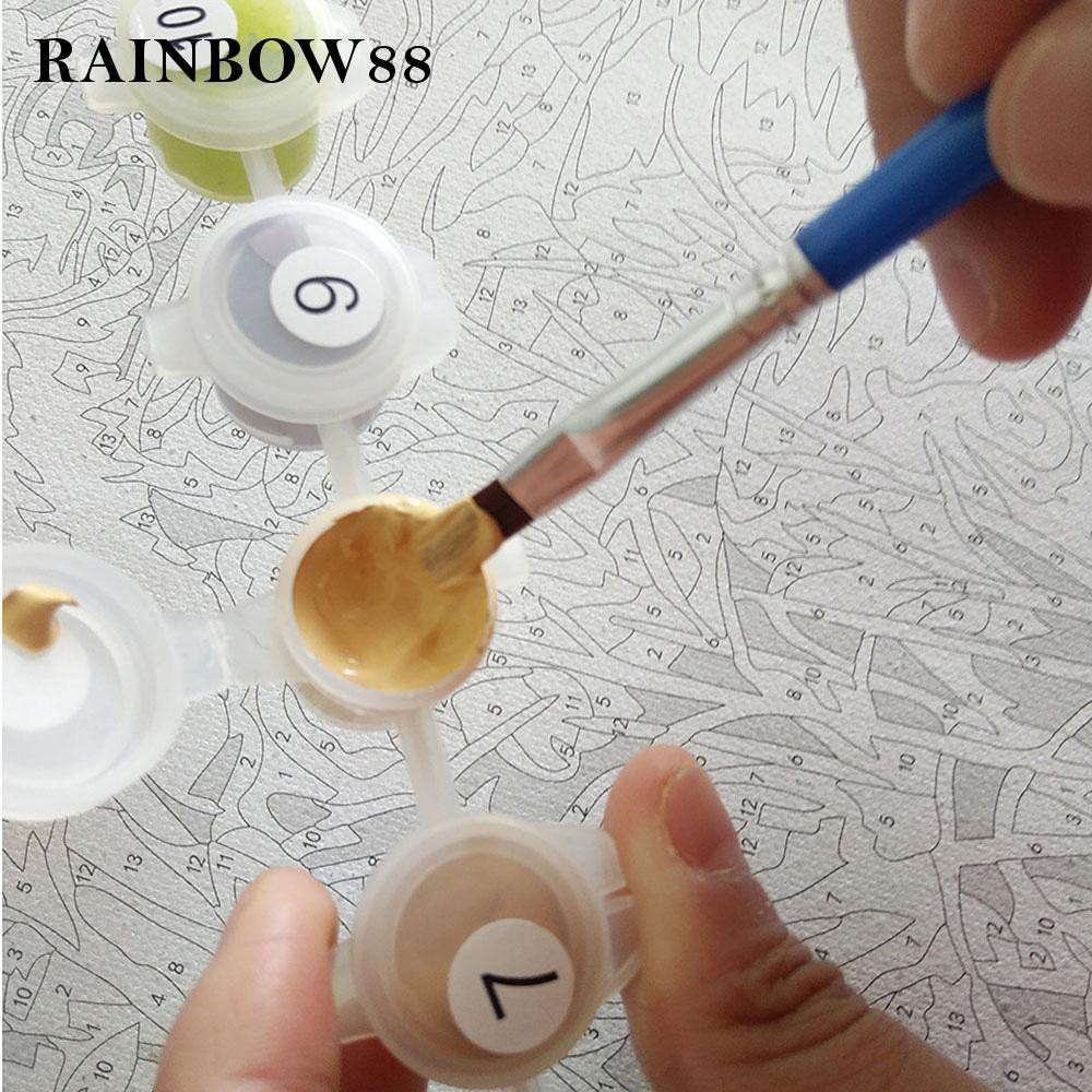 rainbow88 Paint by Numbers Kit For Home Decoration  40 x 50cm Charming Flowers DIY DIY Oil Painting Reliable