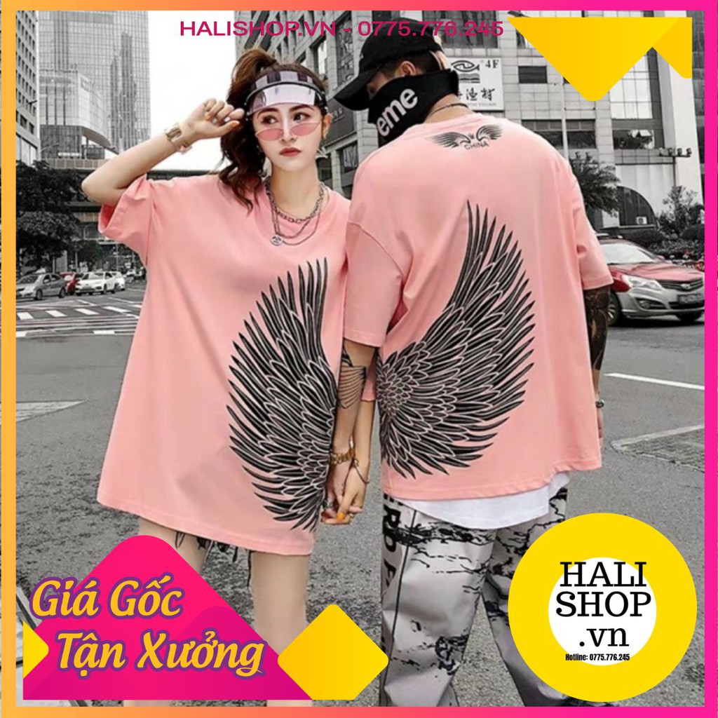 Áo thun nam nữ in cánh chim