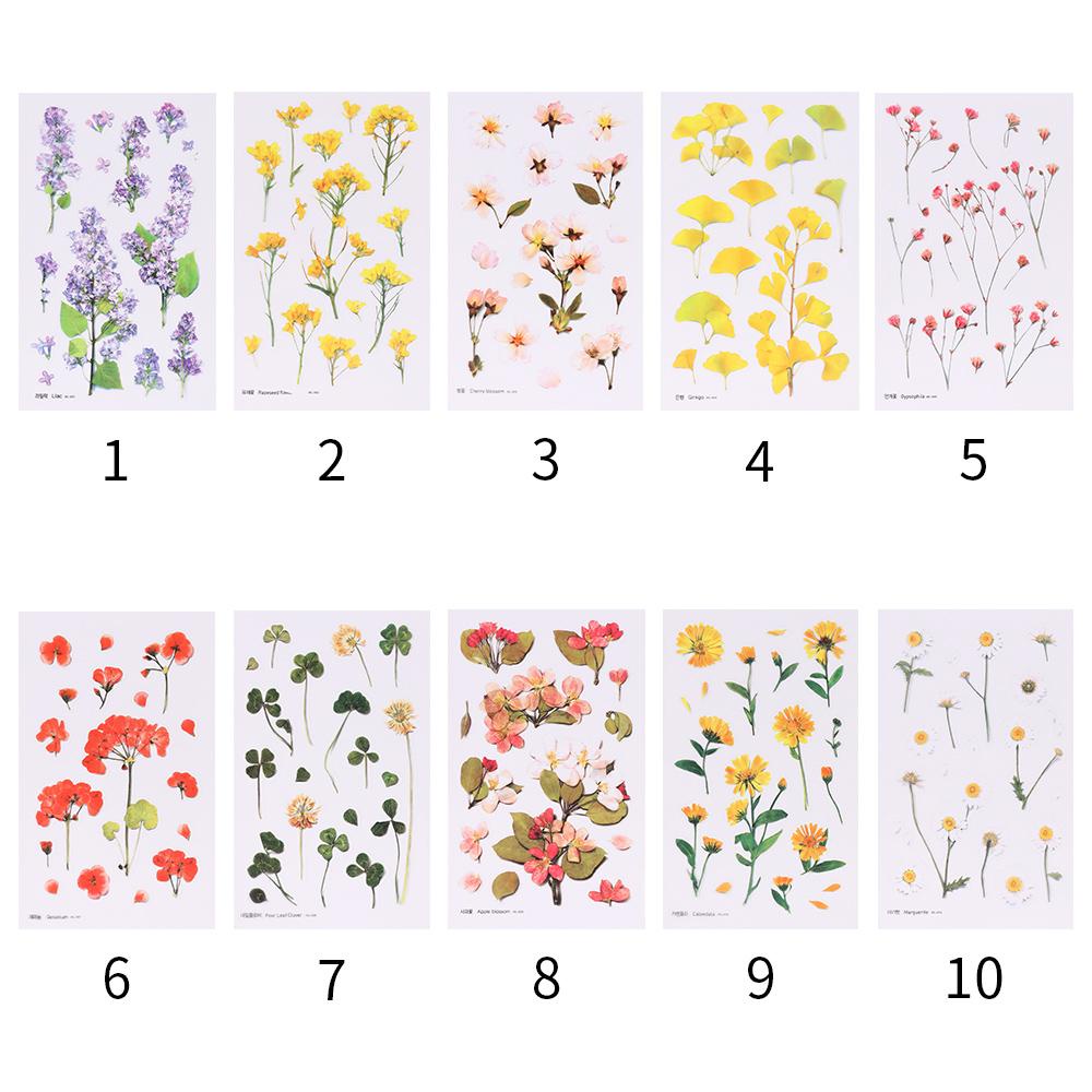 Nhãn Dán PET Hình Hoa Trang Trí DIY