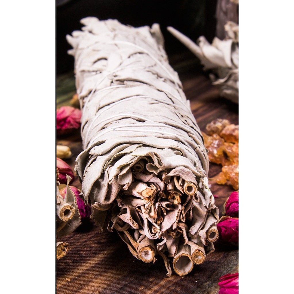 WHITE SAGE Xô Thơm Trắng - THẢO MỘC XÔNG NHÀ