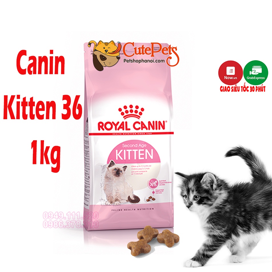 Thức ăn cho mèo con Royal Canin Kitten 36 1kg Hạt cho mèo cao cấp từ Pháp - Phụ kiện thú cưng